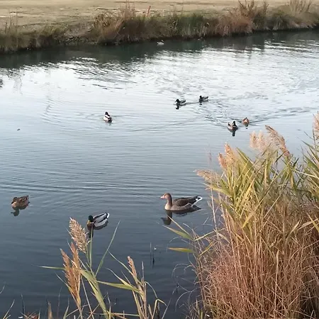 Adriatic - Stobrec アパート スプリト